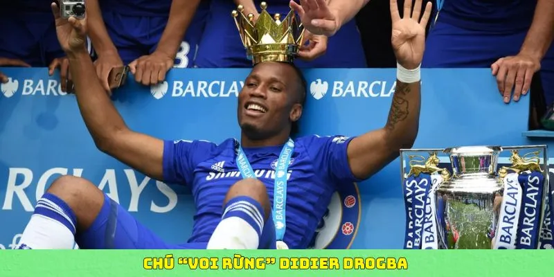 voi-rung-Didier-Drogba