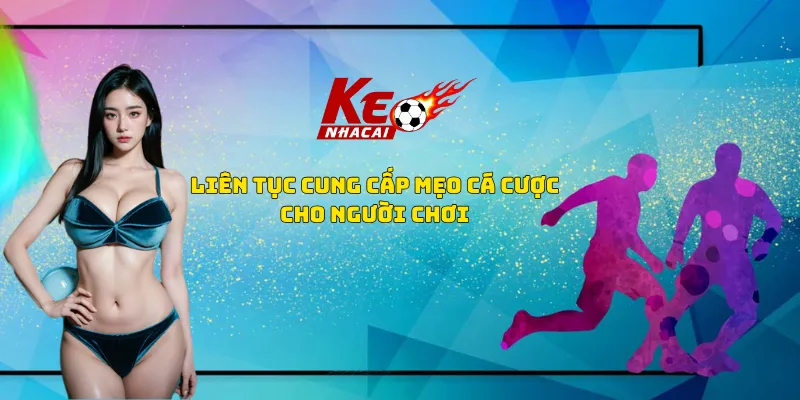 Liên tục cung cấp mẹo cá cược cho người chơi Liên tục cung cấp mẹo cá cược cho người chơi