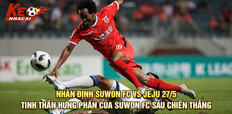 Tinh thần hưng phấn của Suwon FC sau chiến thắng