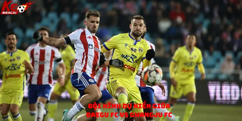 Đội hình dự kiến giữa Daegu FC vs Gwangju FC